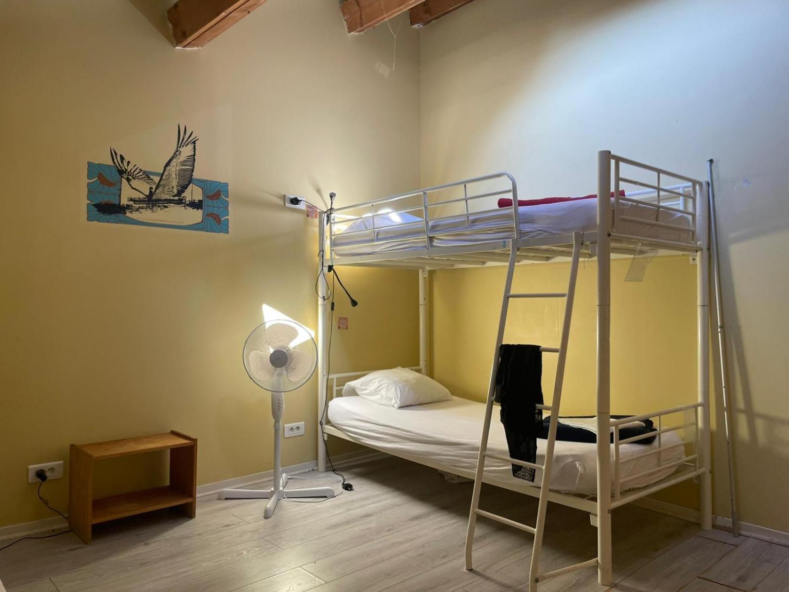 Bed in 4-Bed Female Dormitory Room,1742720420:JPEG